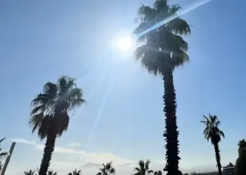 Grand soleil pour ton lundi à Montpellier