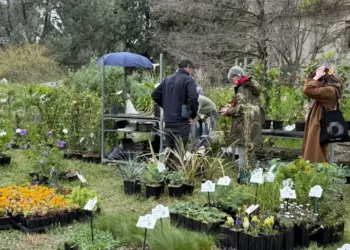 Primavera : Le festival qui donne la main verte ce dimanche