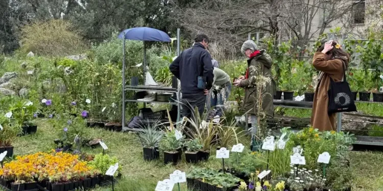 Primavera : Le festival qui donne la main verte ce dimanche