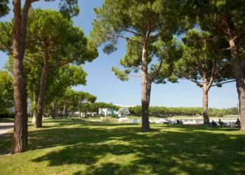 Réouverture de la Guinguette du Ponant : un petit coin de paradis méditerranéen