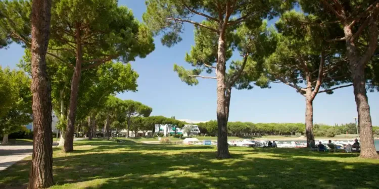 Réouverture de la Guinguette du Ponant : un petit coin de paradis méditerranéen