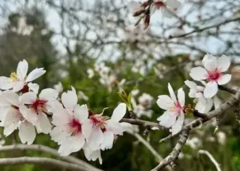 Retour du soleil mercredi avec 19° à Montpellier