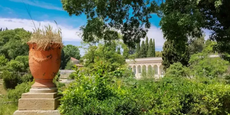 Top 7 des spots pour chiller à Montpellier