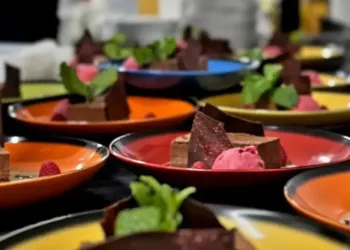 Un voyage musical et gourmand au Domaine du Grand Puy