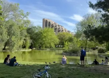 Bassin du Champ de Mars : lézardez au soleil ou à l’ombre à deux pas de la Comédie