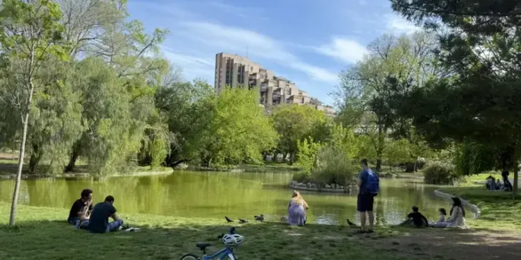 Bassin du Champ de Mars : lézardez au soleil ou à l’ombre à deux pas de la Comédie