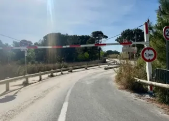 Carnon : le parking du Lido reste gratis cet été