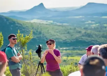 Grand Pic Saint-Loup : La culture s'invite aux domaines viticoles