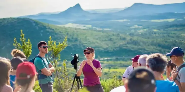 Grand Pic Saint-Loup : La culture s'invite aux domaines viticoles