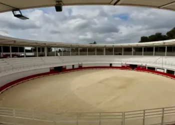 Le Crès : le nouveau visage des arènes inauguré en juin