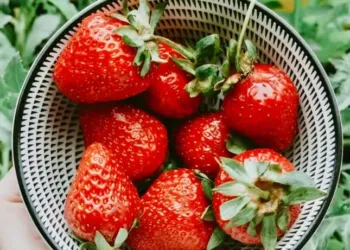 Le Grand Bazar met la Fraise à l'honneur à Mauguio 