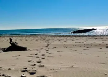 Jusqu’à 31° à Montpellier, plage à 19° pour la baignade