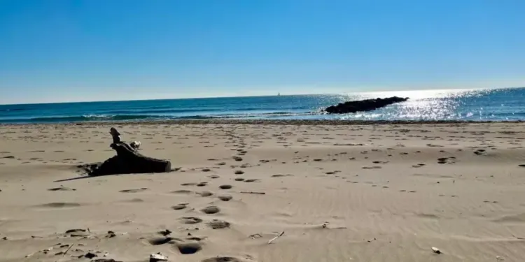 Jusqu’à 31° à Montpellier, plage à 19° pour la baignade