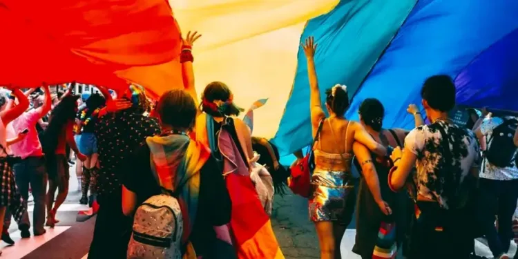 La Premiere Edition De La Family Pride Festival A Montpellier