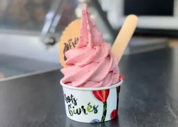 Les Frérots Givrés, les glaciers qui font fondre le FISE