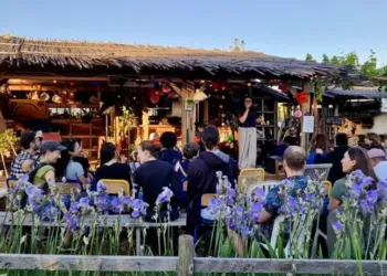 Montpellier : Des soirées hors du temps dans l'Oasis citadine