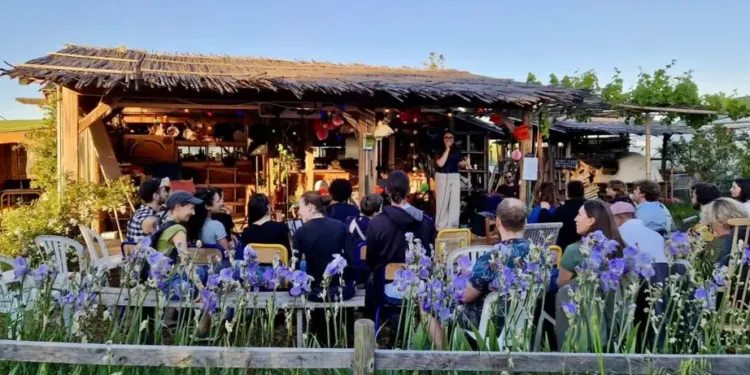 Montpellier : Des soirées hors du temps dans l'Oasis citadine