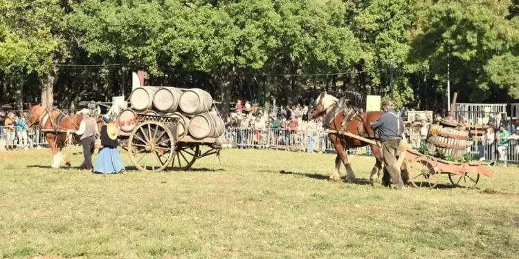 Saint-Gély : Week-end 100% nature et traditions