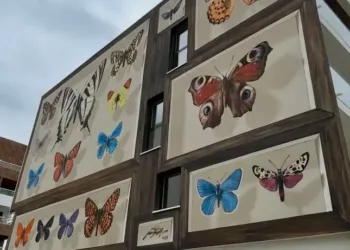 Saint-Jean-de-Védas : encore une envolée artistique sur une façade