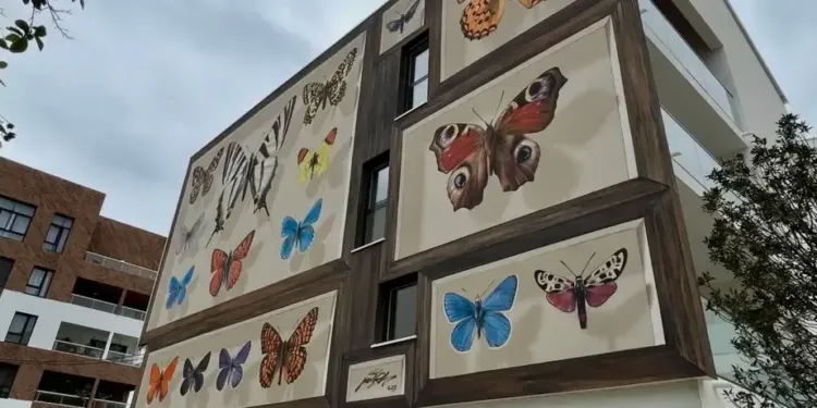 Saint-Jean-de-Védas : encore une envolée artistique sur une façade