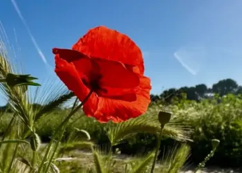 Un ciel instable avec du vent pour ta semaine