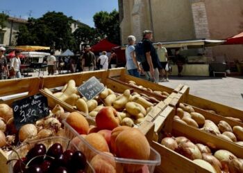 Le Retour Du Marche De Lunel Au Coeur De Ville