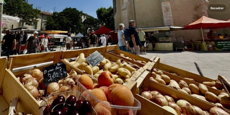Le Retour Du Marche De Lunel Au Coeur De Ville