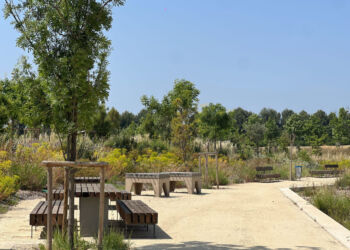 Parc Guilhem VIII : La nouvelle bouffée d'air frais de Montpellier