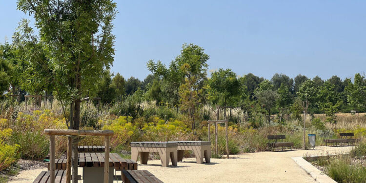 Parc Guilhem VIII : La nouvelle bouffée d'air frais de Montpellier