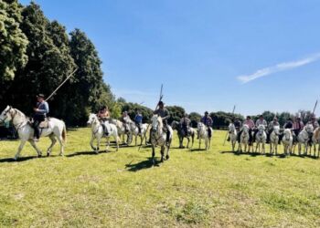 Quand l'électro rencontre la Camargue à Castries