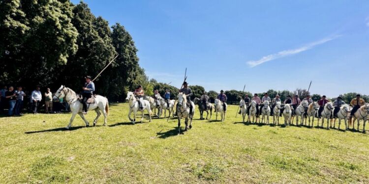 Quand l'électro rencontre la Camargue à Castries