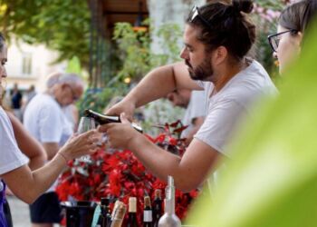 Vinissime fera briller les vins médaillés de la vallée de l'Hérault