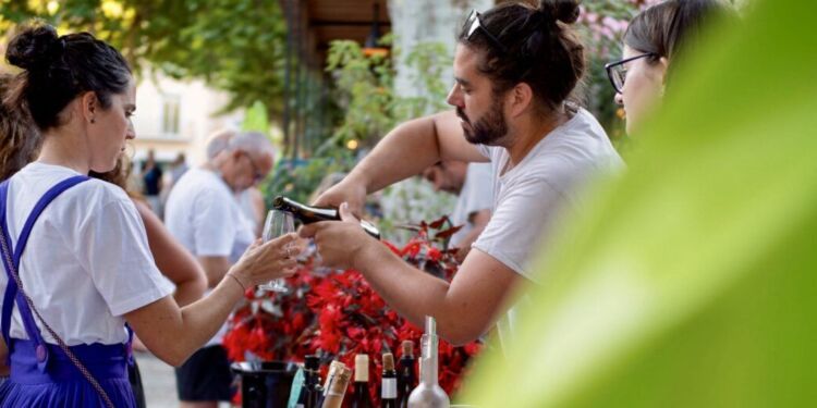 Vinissime fera briller les vins médaillés de la vallée de l'Hérault