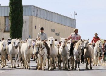 4 jours de fiesta à Jacou