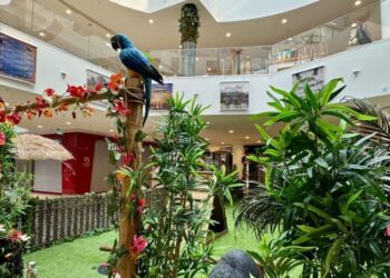 Le Polygone Montpellier : Votre destination aventure cet été