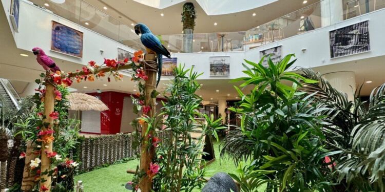 Le Polygone Montpellier : Votre destination aventure cet été