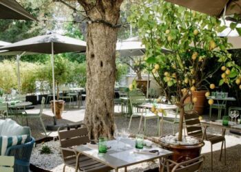 Montpellier : gagnez votre diner au restaurant Le Terminal