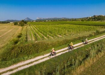 Le Grand Pic Saint-Loup lance sa randonnée vélo-vin
