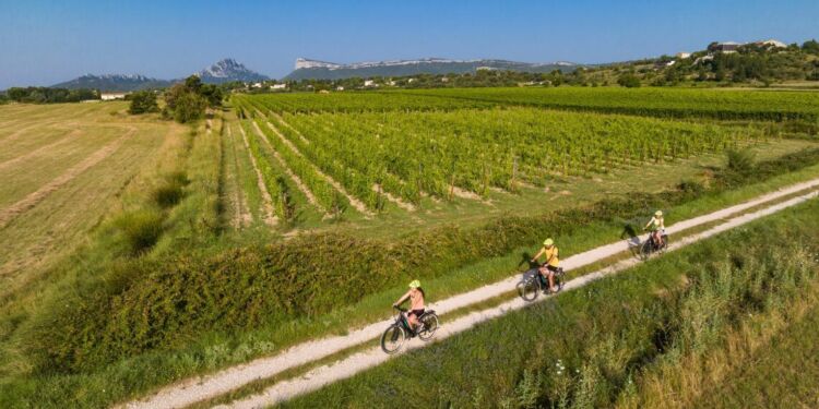 Le Grand Pic Saint-Loup lance sa randonnée vélo-vin