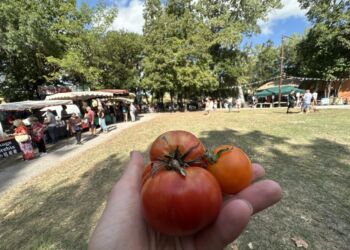 Le Festival De La Tomate De Clapiers Ce Dimanche