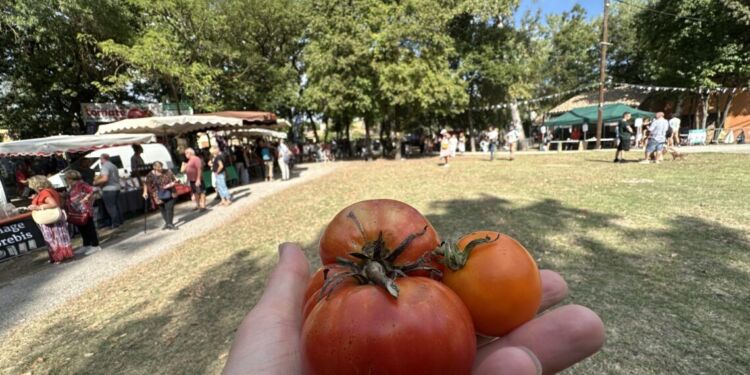 Le Festival De La Tomate De Clapiers Ce Dimanche