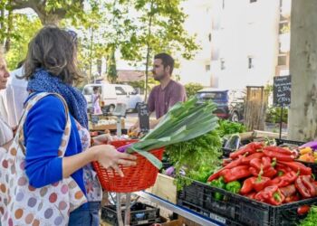 Montpellier : Un nouveau marché paysan quartier du Millénaire
