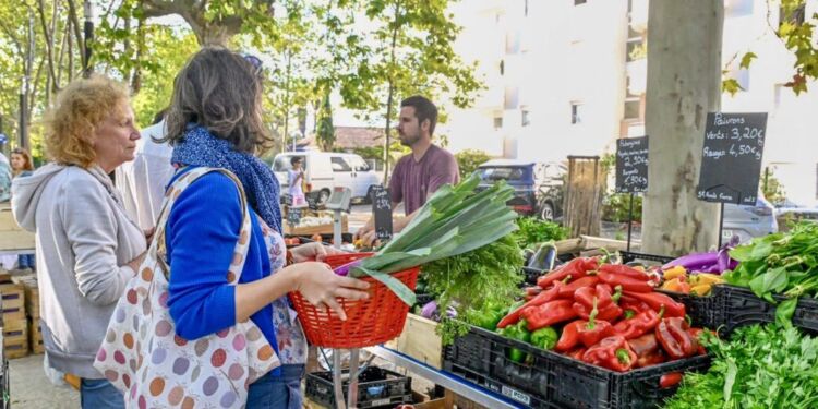 Montpellier : Un nouveau marché paysan quartier du Millénaire