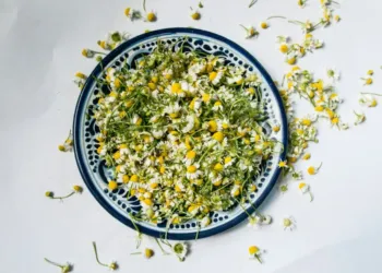 Thefork Deux Restaus De Montpellier Parmi Les Plus Eco Responsables De France