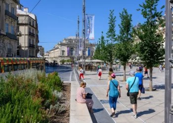 Les Montpelliérains consacrent en moyenne 54€ par mois à leur budget plaisir