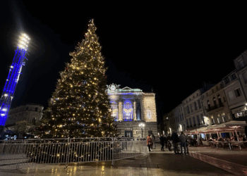 Le sapin de Noël fera son retour pour les fêtes sur la Comédie
