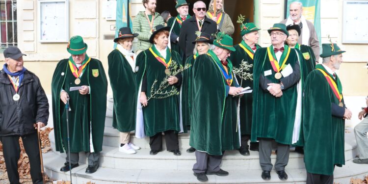 La 29ème Fête de l'Olive de Corconne 
