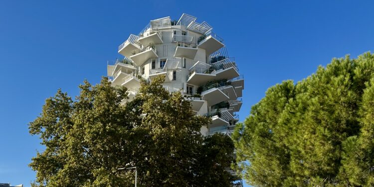 Montpellier : encore du grand soleil toute la semaine