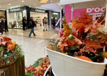 Créativité, gourmandises et K-pop au Polygone Montpellier pendant vos vacances d&rsquo;octobre