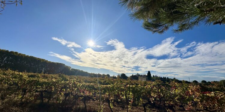 Soleil et fraicheur pour ton week-end à Montpellier
